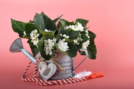 Spring time flowers like snowdrops, isolated on colorful simple flay lay background, spring symbol and traditional romanian, festive on 1st of marchの写真素材