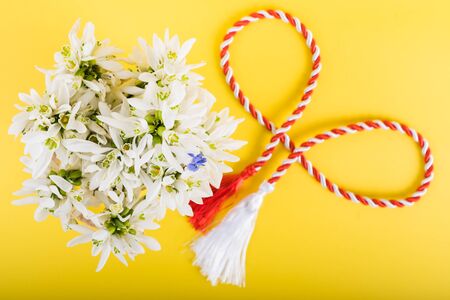 Spring time flowers like snowdrops, isolated on colorful simple flay lay background, spring symbol and traditional romanian, festive on 1st of marchの写真素材