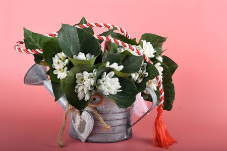 Spring time flowers like snowdrops, isolated on colorful simple flay lay background, spring symbol and traditional romanian, festive on 1st of marchの写真素材
