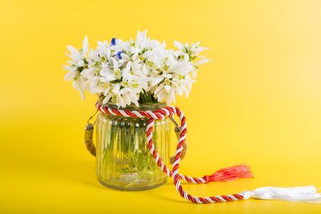 Spring time flowers like snowdrops, isolated on colorful simple flay lay background, spring symbol and traditional romanian, festive on 1st of marchの写真素材