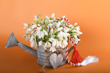 Spring time flowers like snowdrops, isolated on colorful simple flay lay background, spring symbol and traditional romanian, festive on 1st of marchの写真素材