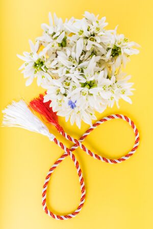 Spring time flowers like snowdrops, isolated on colorful simple flay lay background, spring symbol and traditional romanian, festive on 1st of marchの写真素材