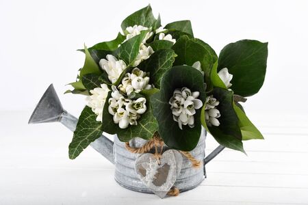 Spring time flowers like snowdrops, isolated on colorful simple flay lay background, spring symbol and traditional romanian, festive on 1st of marchの写真素材