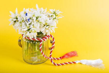 Spring time flowers like snowdrops, isolated on colorful simple flay lay background, spring symbol and traditional romanian, festive on 1st of marchの写真素材