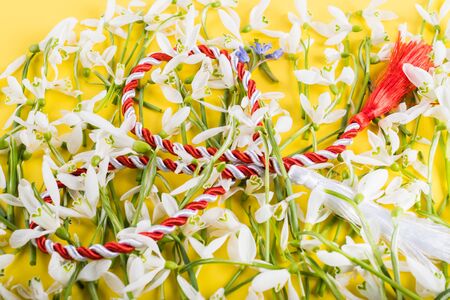 Spring time flowers like snowdrops, isolated on colorful simple flay lay background, spring symbol and traditional romanian, festive on 1st of marchの写真素材
