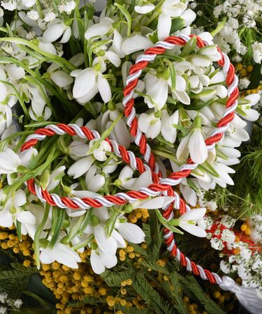 Spring time flowers like snowdrops, isolated on colorful simple flay lay background, spring symbol and traditional romanian, festive on 1st of marchの写真素材
