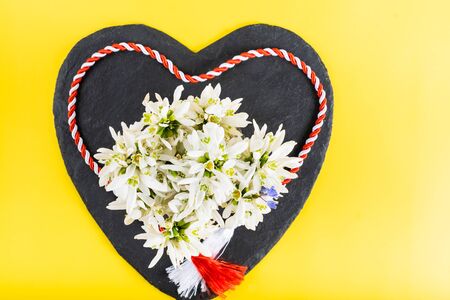 Spring time flowers like snowdrops, hyacinth and roses, isolated on yellow simple background, spring symbol and traditional romanian festive on 1st of marchの写真素材