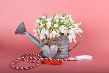 Spring time flowers like snowdrops, isolated on colorful simple flay lay background, spring symbol and traditional romanian, festive on 1st of marchの写真素材