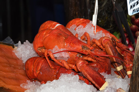 Seafood on ice at the fish market