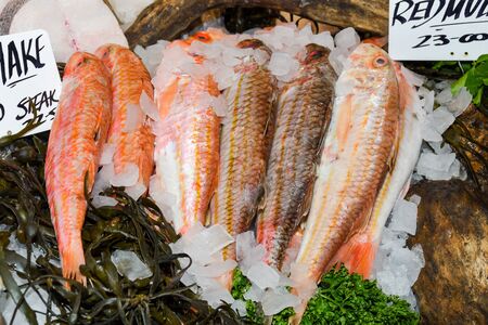 Fresh seafood on ice at the marketの写真素材