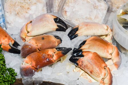 Fresh seafood on ice at the marketの写真素材