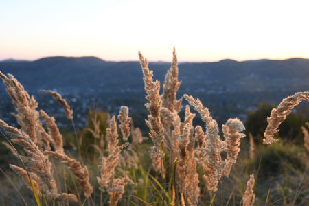 Romantic scenery during autumn sunset. Hills and mountains in the background, orange sun setting...