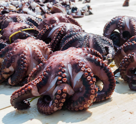 Octopus small chopped bites, street food festival. Seafood festival. Live cooking session contest....