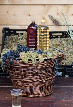 Freshly squeezed grape juice during food and wine festival. Traditional Romanian sweet drink, sugar free, intense red colorの写真素材