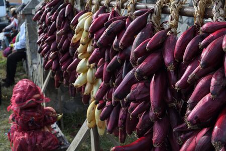 Red onion harvest, dried and braided for storage and for sale during country fair market, food festival. Strings of onion hanging in a street stall or basket at a farmers fair. Old traditionの写真素材