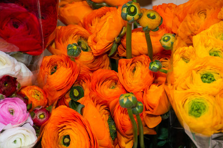 Flowers at the flower market, Bouquet arrangement ideal for celebration like Mother's Day, Woman's Day, Valentine's Day, birthdayの写真素材