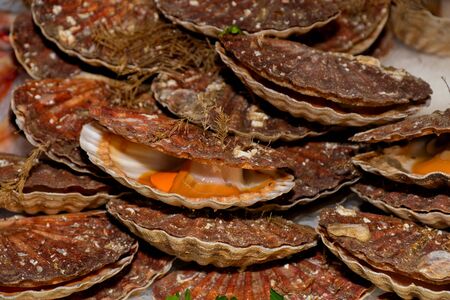 Oysters on the counter in wooden boxes on the market. Oysters for sale at the seafood market. Fish market stall full of fresh shell oysters. Fresh oysters selective focus. Close up shot.の写真素材