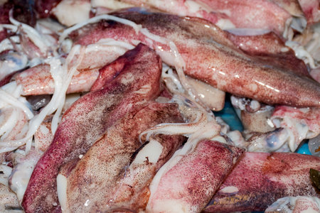 Seafood on ice at the fish market: calamari