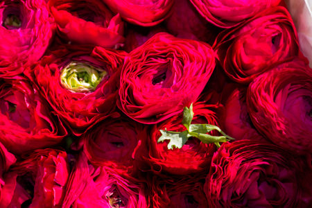 Flowers at the flower market, Bouquet arrangement ideal for celebration like Mother's Day, Woman's...