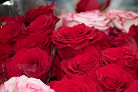 Flowers at the flower market, Bouquet arrangement ideal for celebration like Mother's Day, Woman's Day, Valentine's Day, birthdayの写真素材