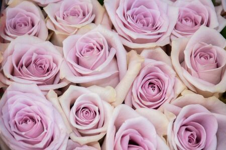 Flowers at the flower market, Bouquet arrangement ideal for celebration like Mother's Day, Woman's Day, Valentine's Day, birthdayの写真素材
