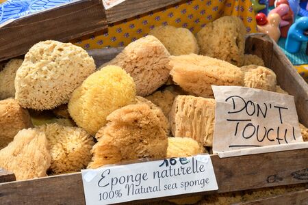 Natural sponge.Natural sea sponges for cleaning and washing closeup.Spa and Wellness- anti-cellulitis spa massage brush, sponge, towel and soap.Sea sponges for sale at a marketの写真素材