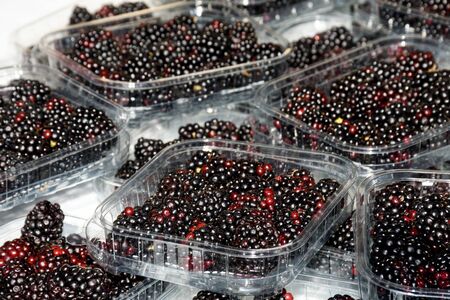 Fresh healthy blackberries in plastic box for sale at market in Nice, France. Selective focus.の写真素材