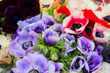 Flowers at the flower market, Bouquet arrangement ideal for celebration like Mother's Day, Woman's Day, Valentine's Day, birthdayの写真素材