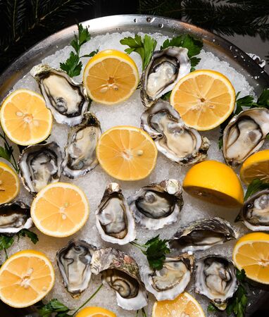 Fresh oysters with lemon on ice during hotel brunch buffet outside outdoor in the garden by the pool. Fresh Food Buffet Brunch Catering Dining Eating Party Sharing Conceptの写真素材