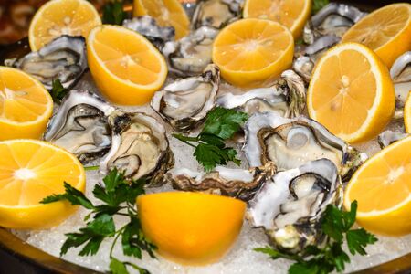 Fresh oysters with lemon on ice during hotel brunch buffet outside outdoor in the garden by the pool. Fresh Food Buffet Brunch Catering Dining Eating Party Sharing Conceptの写真素材