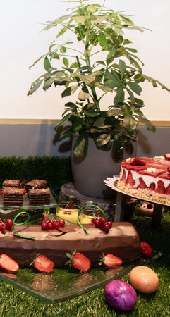 Large assortment of desserts, muffins, cakes, tarts. Candy bar during wedding reception or brunch...
