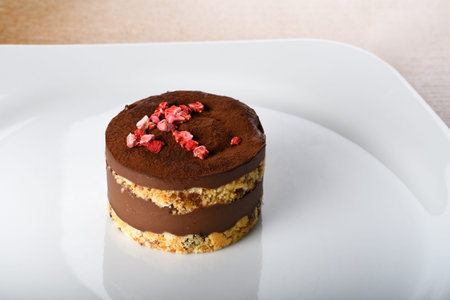 Vegan chocolate cake, no milk no dairy, no sugar, no gluten gluten free dessert. Healthy eating diet...