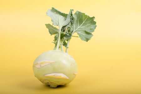 Three pieces of kohlrabi vegetable isolated on yellow simple background with copy space. Green leafy vegetable from cabbage and radish family, bio and organic grown from the gardenの写真素材