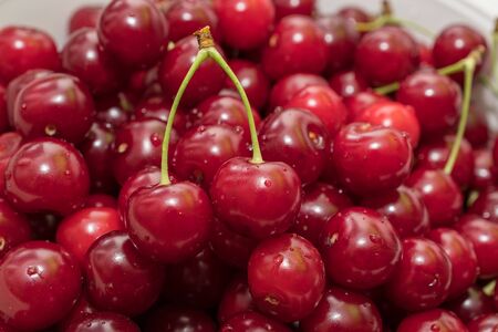 Fresh picked harvested sour cherries in a white bowl on a kitchen table. Macro and closeup shot with water droplets, bright intense red colored, full of vitamin c and nutrient dens fruit.の写真素材