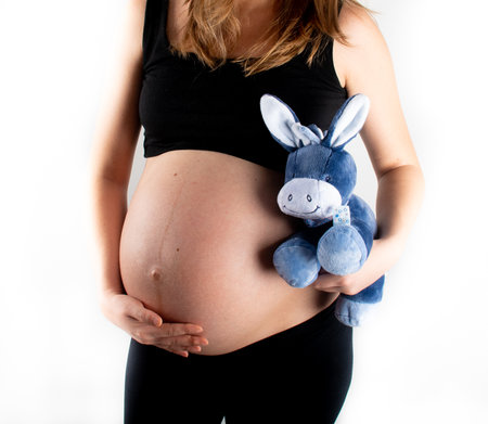 Pregnant woman holding blue donkey toy for baby boy. Tummy belly closeup and pregnancy concept. Young slim skinny model posing standing on white backgroundの写真素材