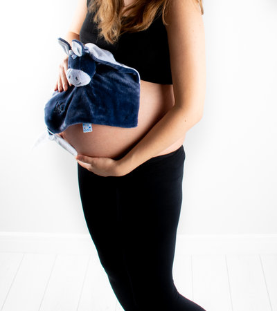 Pregnant woman holding blue donkey toy for baby boy. Tummy belly closeup and pregnancy concept. Young slim skinny model posing standing on white backgroundの写真素材