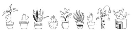 Hand drawn set houseplants isolated on a white background. Doodle style collection potted plants. Vector clipart for plants shop, social media post, for scrapbooking and more.のイラスト素材