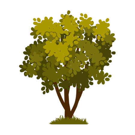 Cartoon green tree isolated on a white background. Vector element for spring or summer landscape.のイラスト素材
