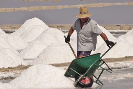 work in salt flatのeditorial素材