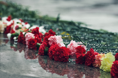 Colourful carnations on a wet granite surfaceの写真素材