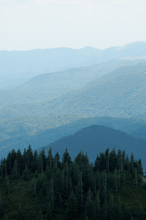 A panoramic view of layered mountain ridges fading into the distance with forested slopes.の写真素材