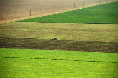 Cultivated field photographed from helicopterの写真素材