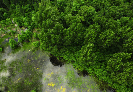 Photo taken from helicopter along a river