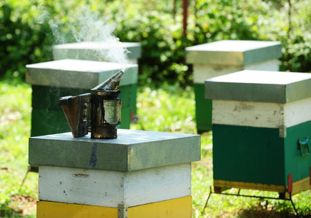 Painted wooden beehives with active honey beesの写真素材