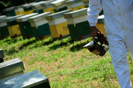 Painted wooden beehives with active honey bees