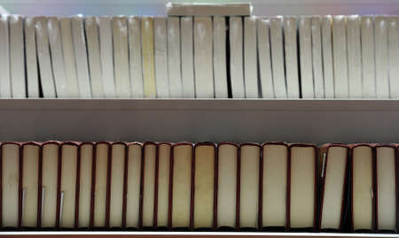 Group of new books in a shelfの写真素材