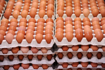 Red eggs in a processing plantの写真素材