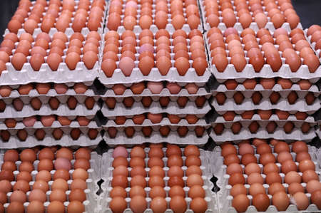 Red eggs in a processing plantの写真素材