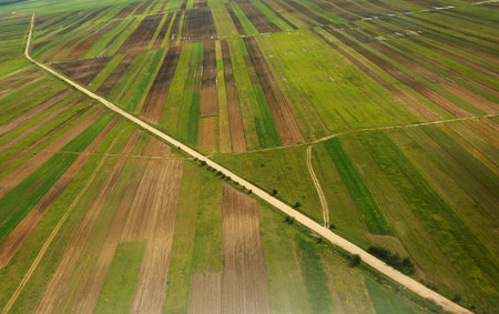 Beautiful view from helicopter over a cultivated field close to Romanian Danube