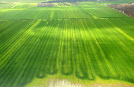 Beautiful view from helicopter over a cultivated field close to Romanian Danubeの写真素材